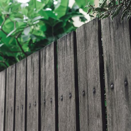 wooden fence below a tree flossmoor il